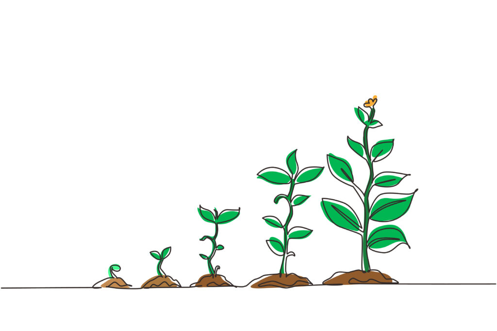 Continuous one line drawing infographic of planting tree, seeds progressively sprouting and growing into a tall plant